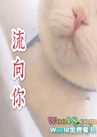 流向红河